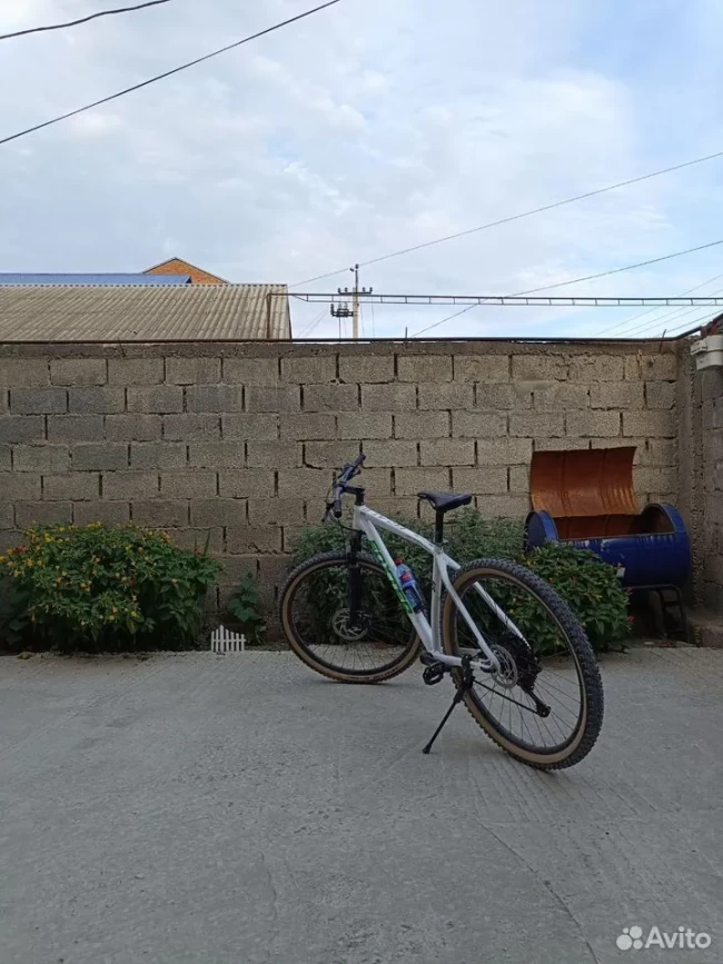 FOXSTER ECLAT 579 30.5