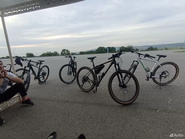 FOXSTER ECLAT 579 30.5