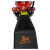 KUGOO C3