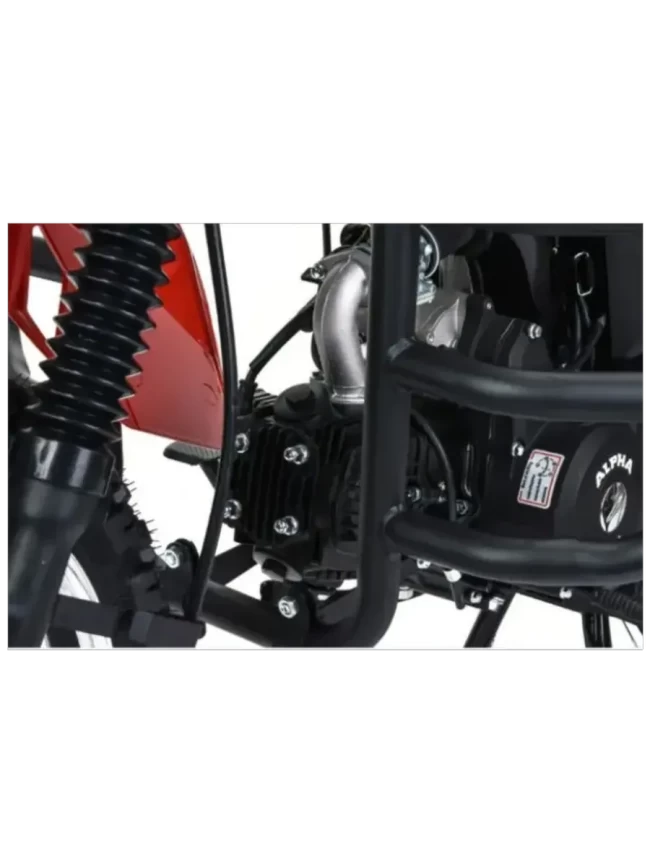 МОПЕД MOTOLAND ALPHA RS FORESTER 11 красный 18/18