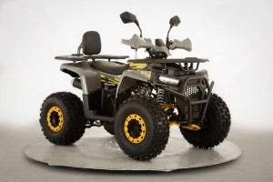 Квадроцикл 125 куб DeXpro 07 Квадроцикл 125 куб DeXpro 07