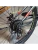 PULSE MD 4200 R26