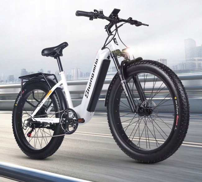 SHENGMILO ФЭТ 1000ВТ R26