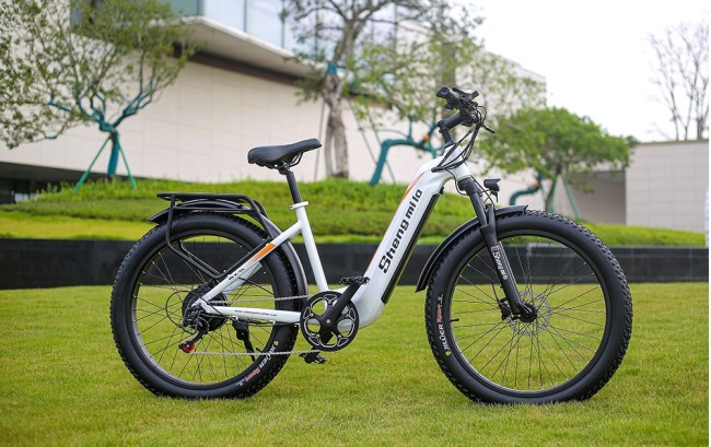 SHENGMILO ФЭТ 1000ВТ R26