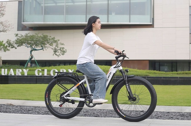 SHENGMILO ФЭТ 1000ВТ R26