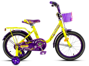 MAXX PRO SOFIA R16 фиолет